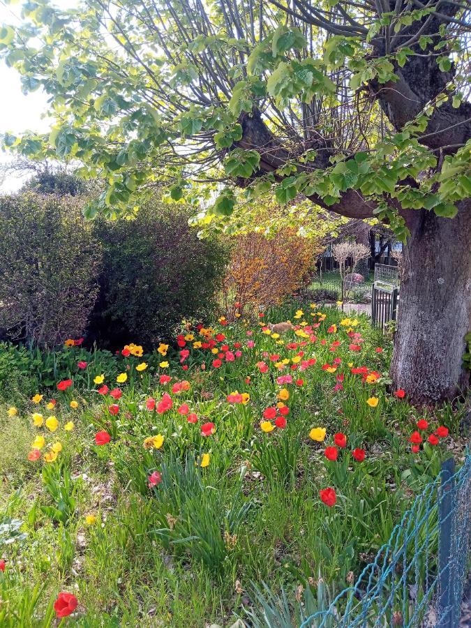 Rosalie Cottage Beaurepaire  Dış mekan fotoğraf