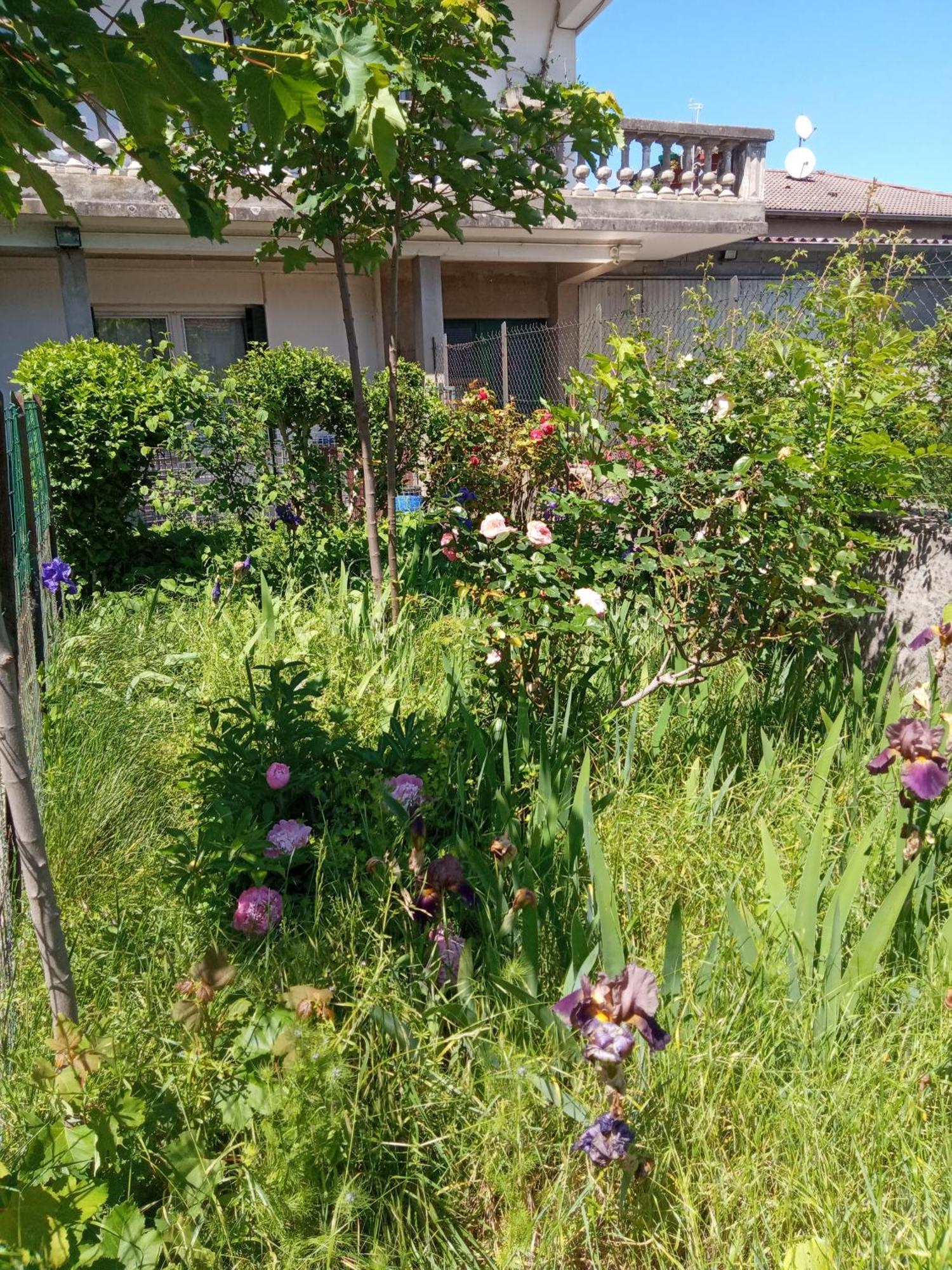 Rosalie Cottage Beaurepaire  Dış mekan fotoğraf
