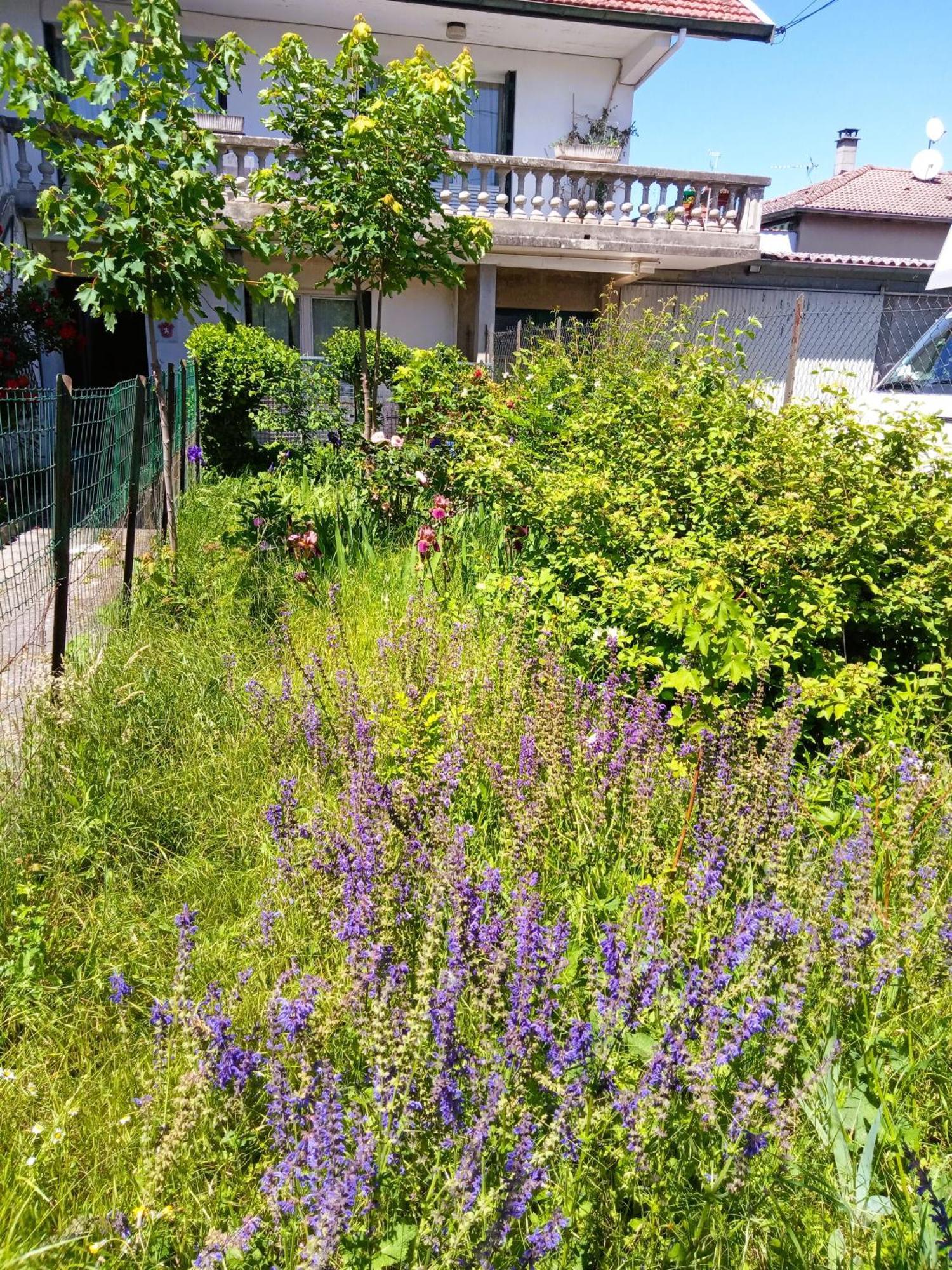 Rosalie Cottage Beaurepaire  Dış mekan fotoğraf
