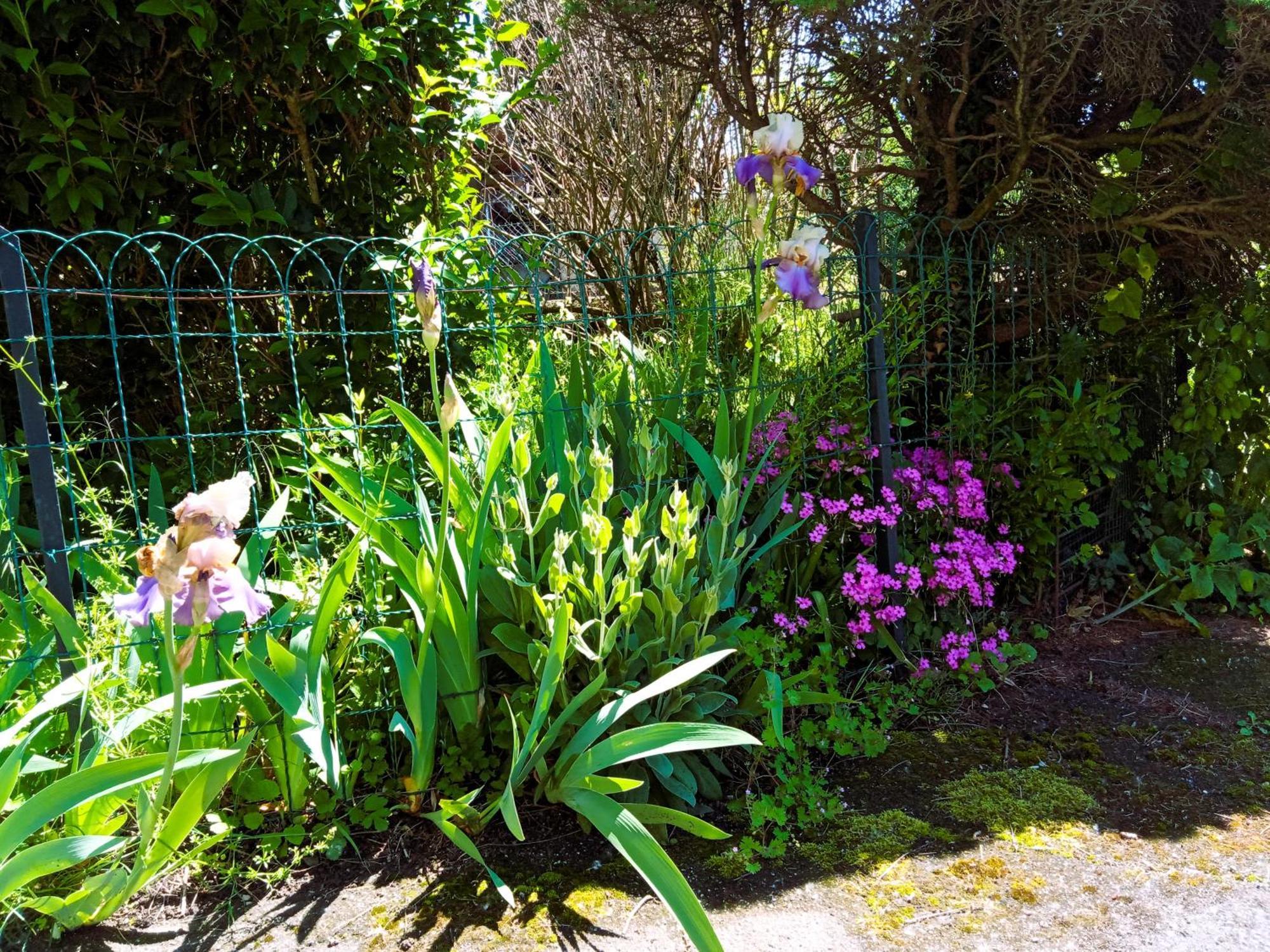 Rosalie Cottage Beaurepaire  Dış mekan fotoğraf
